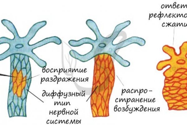 Кракен рабочая ссылка на сайт