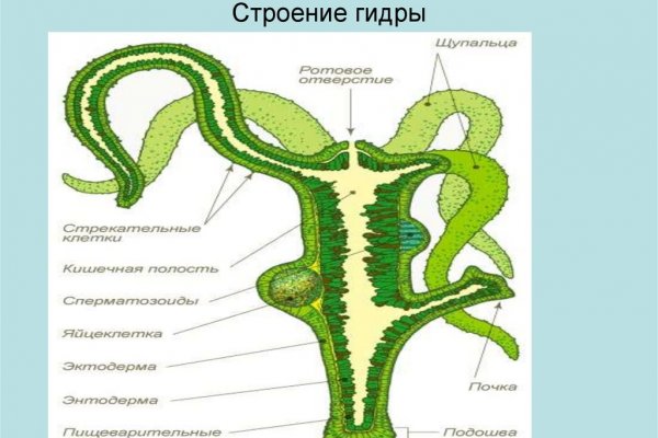 Как через сафари зайти на кракен