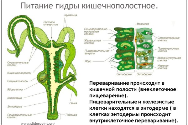 Кракен 2krnk cc