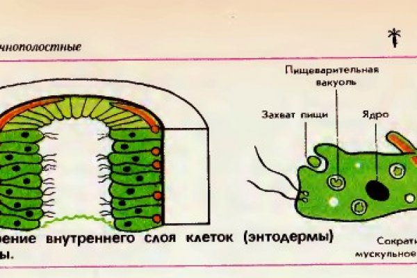 Kraken зеркало kraken link top